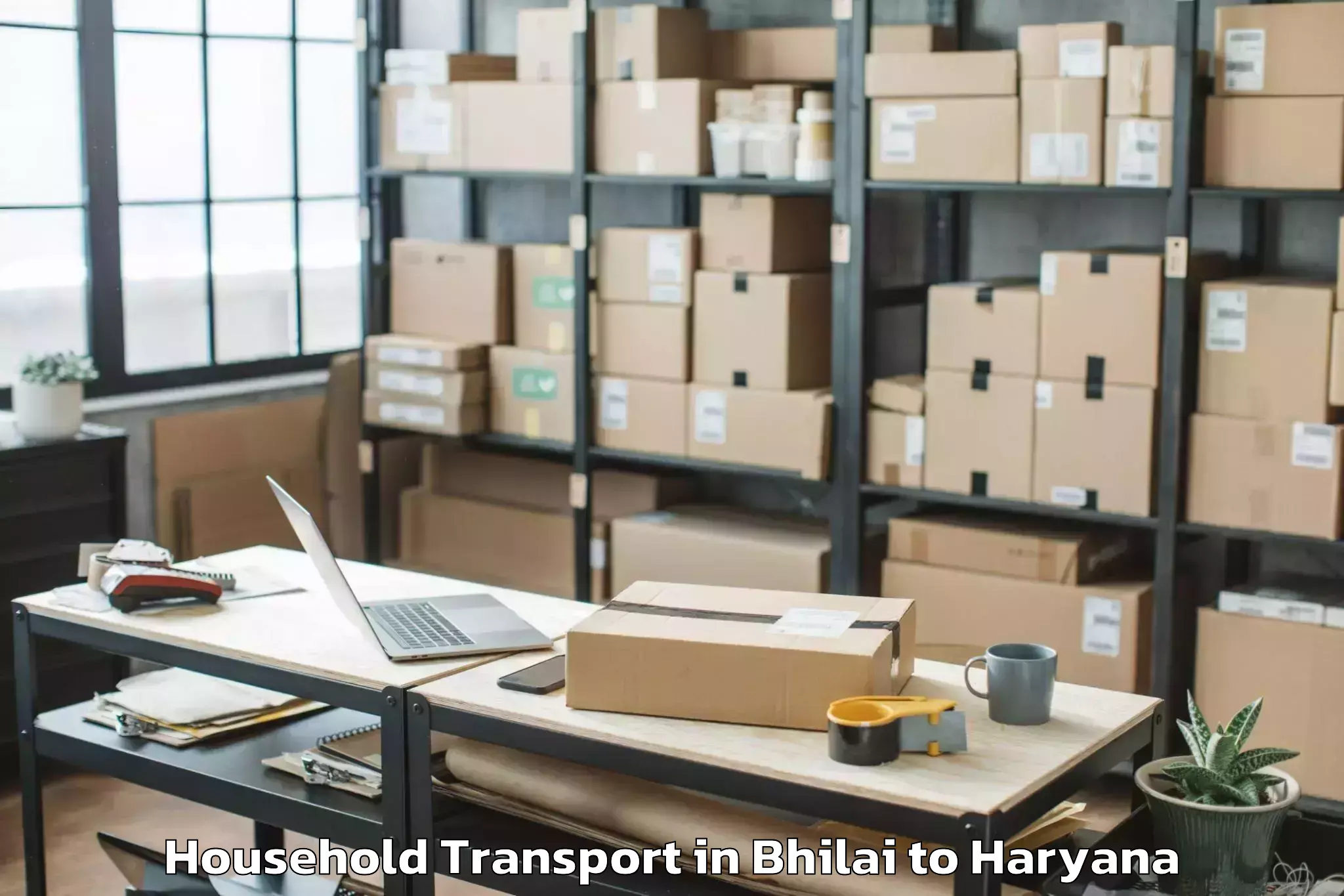 Book Bhilai to Hissar Airport Hss Household Transport Online